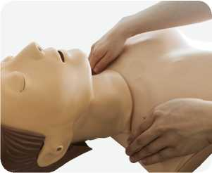 Advanced CPR Training Manikin | Product Code：EX-CPR4000
