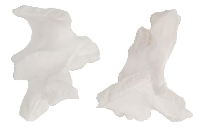 Name：Palate bone enlargement Model:EX-D0133